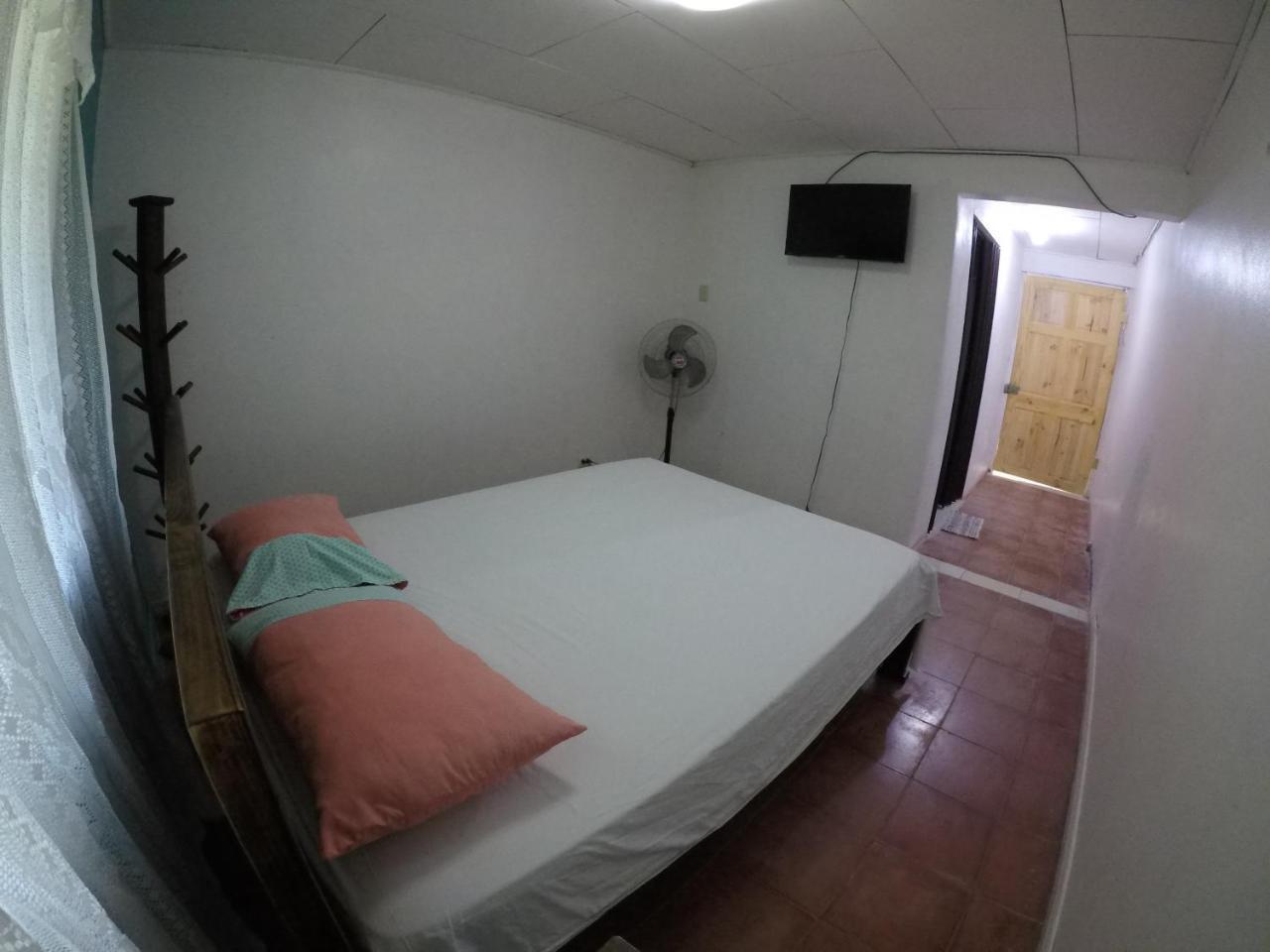 Cabinas Palmer Makanda Cahuita Exterior foto